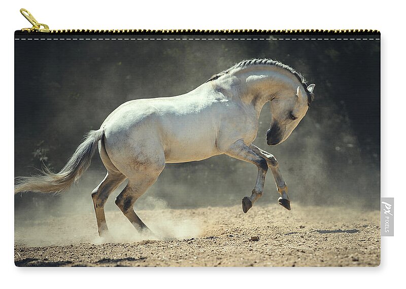 Russian Artists New Wave Zip Pouch featuring the photograph Fun in the Dust by Ekaterina Druz