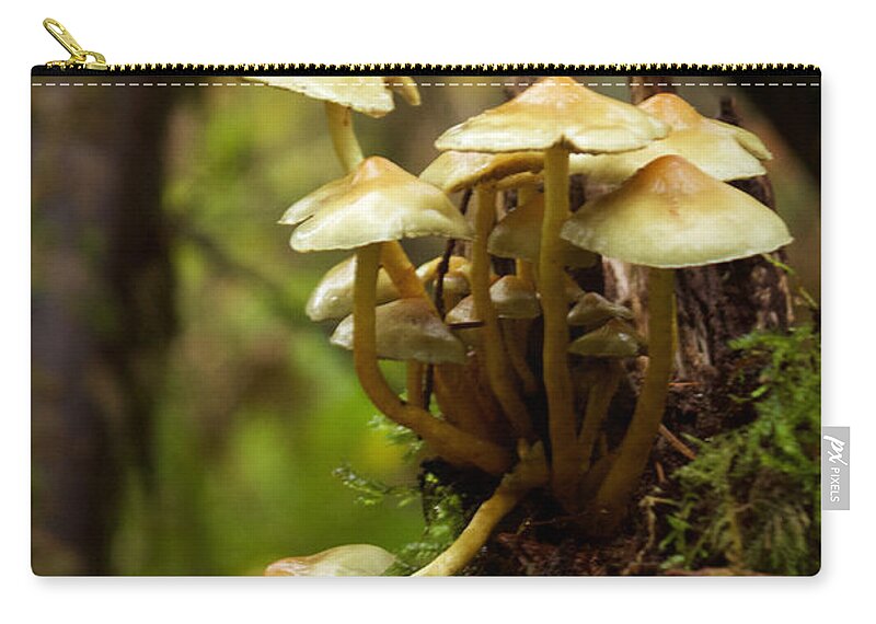 Photography Zip Pouch featuring the photograph Fungal Blooms by Sean Griffin