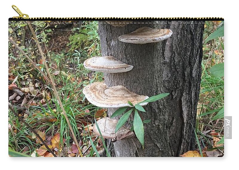 Nature Zip Pouch featuring the photograph Fungi by Christine Lathrop
