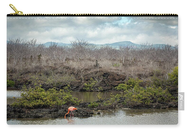 Cindy Archbell Zip Pouch featuring the photograph Galapagos Flamingo by Cindy Archbell