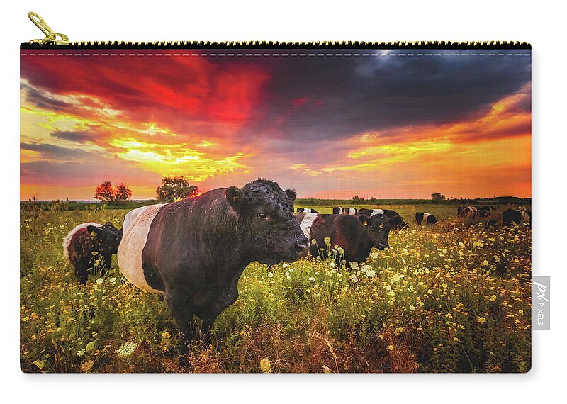 Worms Zip Pouch featuring the photograph Galloway Cattle during Sunset by Marc Braner