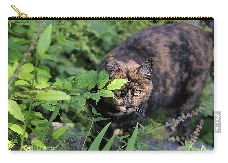 Cat Zip Pouch featuring the photograph Garden Cat on the Hunt by Kae Cheatham