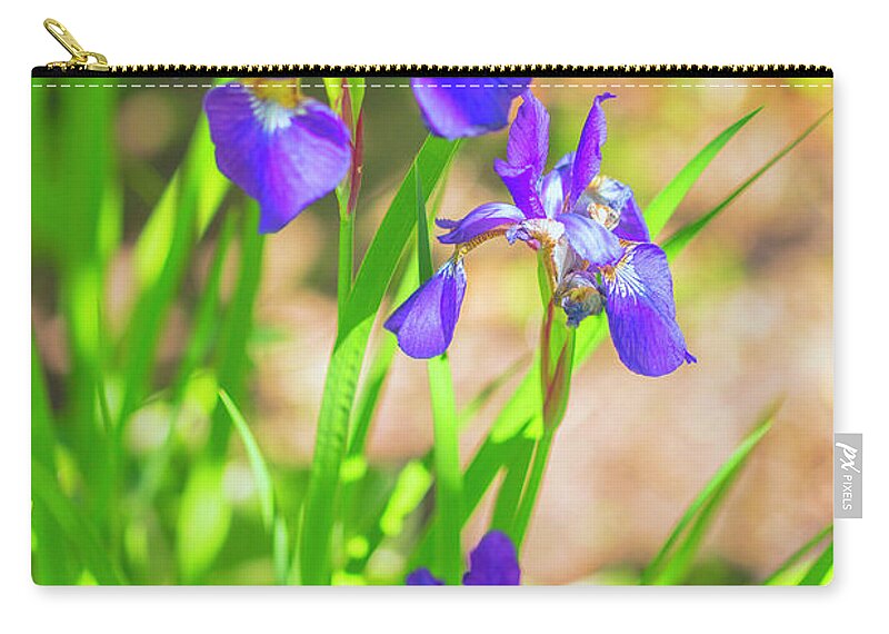 Iris Zip Pouch featuring the photograph Garden Iris by Nancy Dunivin