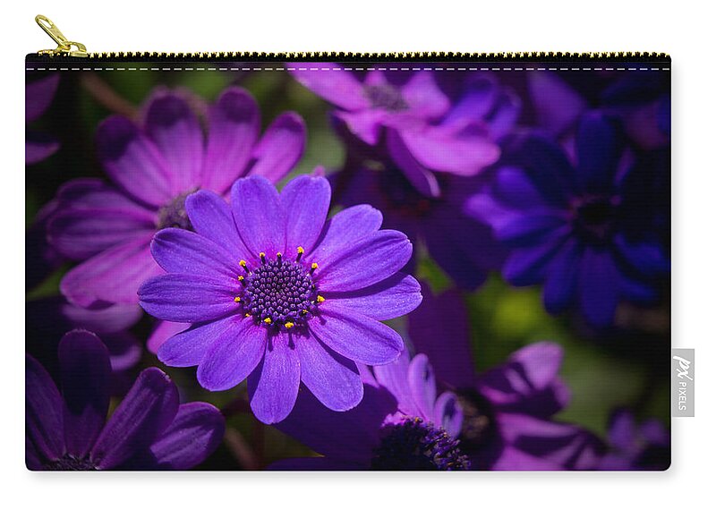 Flower Carry-all Pouch featuring the photograph Garden Light by Derek Dean