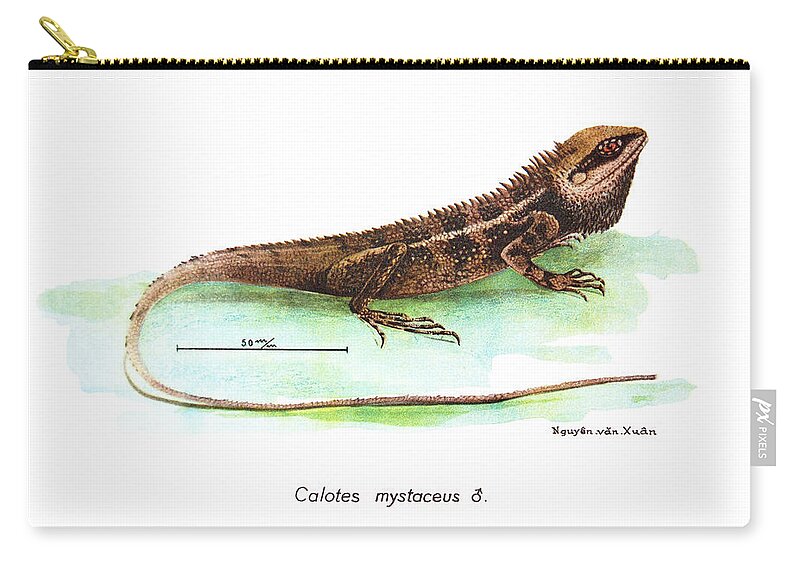 Lizard Zip Pouch featuring the drawing Garden Lizard by Nguyen van Xuan