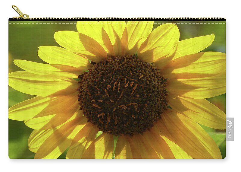 Flowers Zip Pouch featuring the photograph Garden Sunshine by Cris Fulton