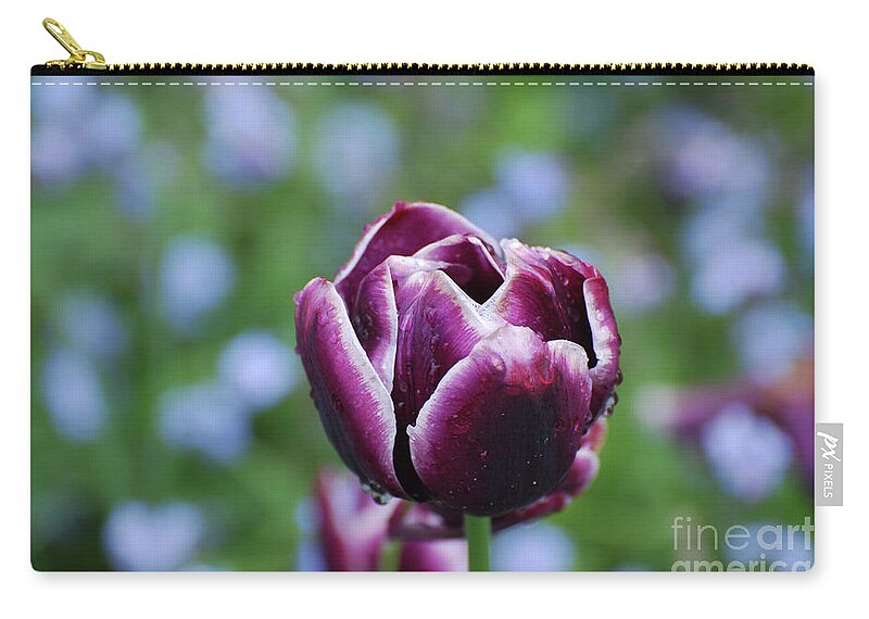 Tulip Zip Pouch featuring the photograph Garden Tulip with Rain Drops on a Spring Day by DejaVu Designs