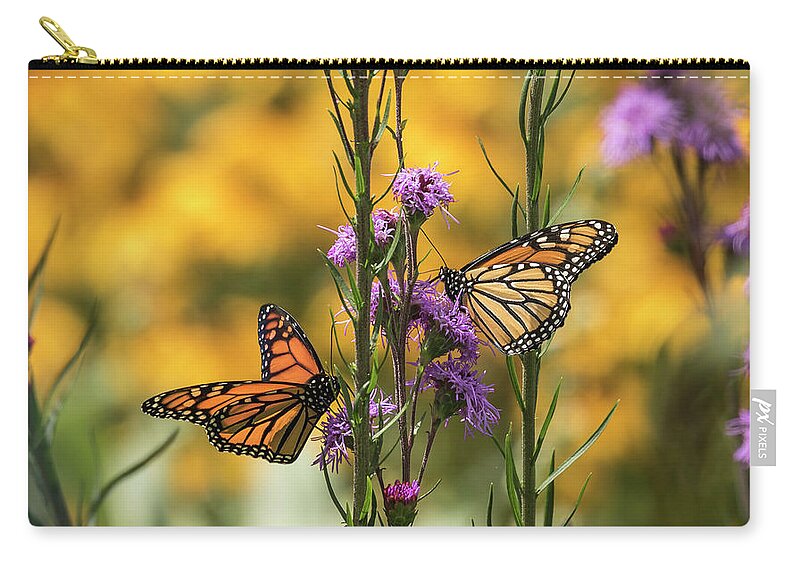 Monarch Butterflies Carry-all Pouch featuring the photograph Gardeners Dream by Thomas Young