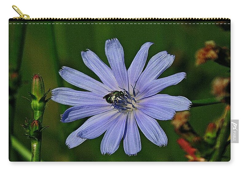Flower Zip Pouch featuring the photograph Gathering Nectar by Deborahlynne Meyer