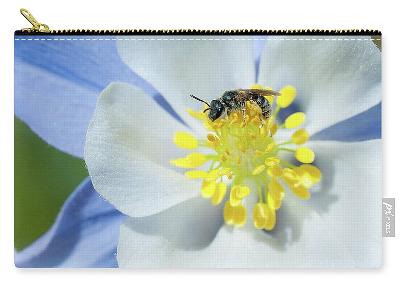 Colorado Zip Pouch featuring the photograph Gathering Pollen by Julia McHugh