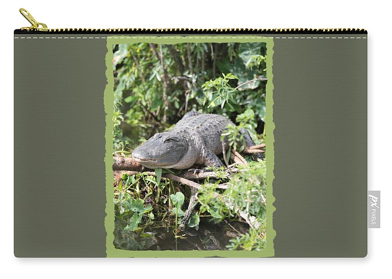 Gator Zip Pouch featuring the photograph Gator in Green by Carol Groenen