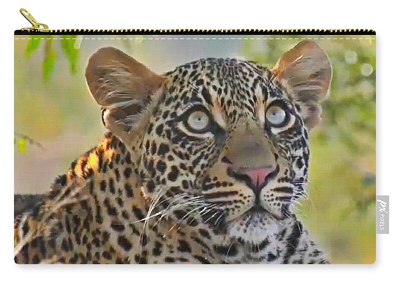 Leopard Zip Pouch featuring the photograph Gazing Leopard by Gini Moore
