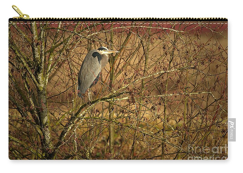 Great Blue Heron Zip Pouch featuring the photograph GBH in a Tree by Sharon Talson