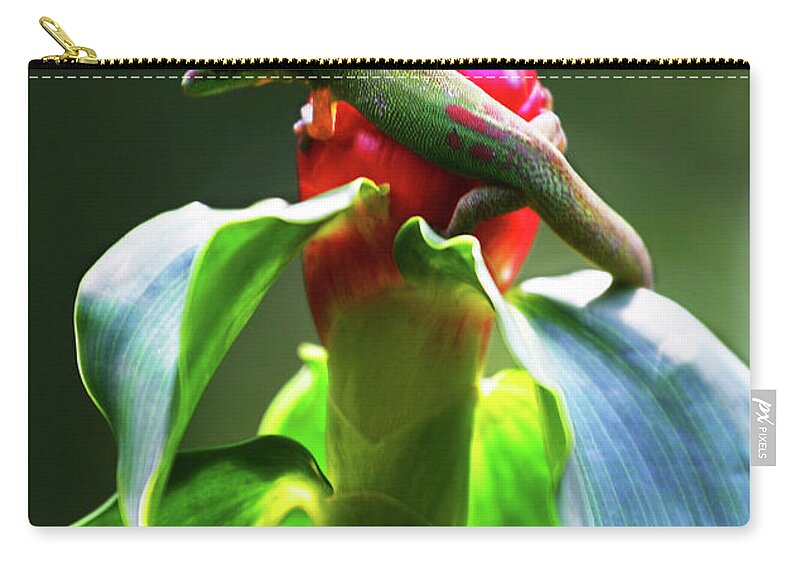 Hawaii Zip Pouch featuring the photograph Gecko #3 by Anthony Jones