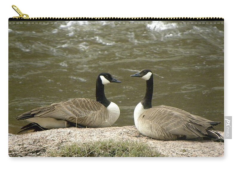 Animals Zip Pouch featuring the photograph Geese Platt River Deckers CO by Margarethe Binkley
