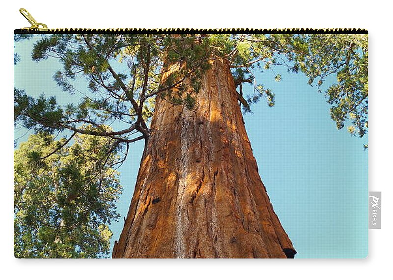 California Zip Pouch featuring the photograph General Sherman Tree by Beth Collins