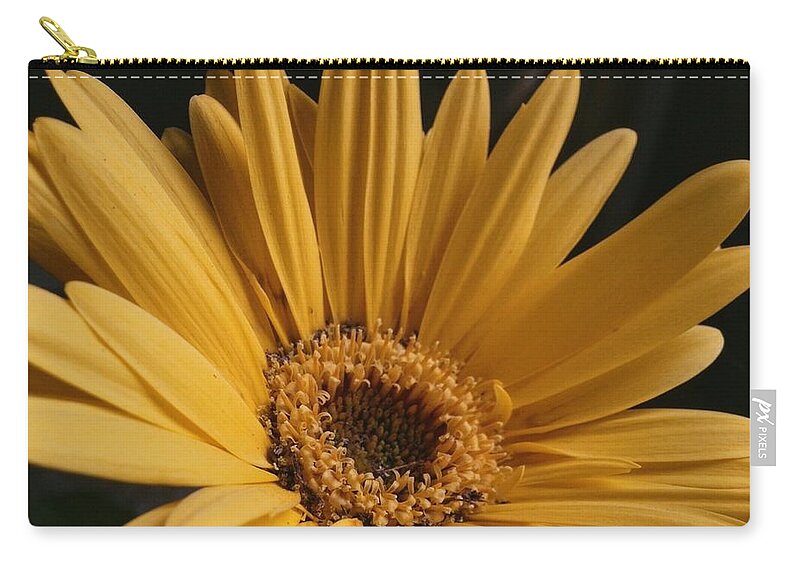  #flowerphotography #flower #photography #nature #flowers #naturephotography #pink #white #yellow #macro #purple #daisy #gerberadaisy Zip Pouch featuring the photograph Gerbera Daisy by Annie Walczyk