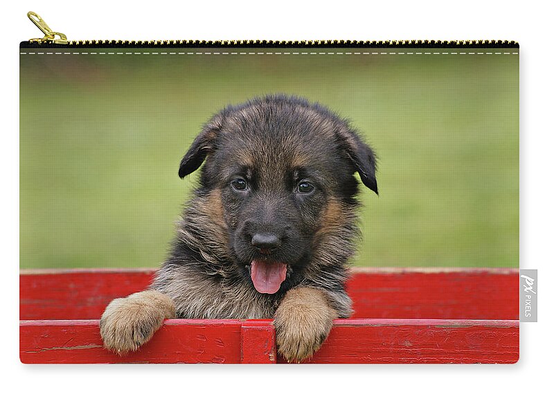 German Shepherd Zip Pouch featuring the photograph German Shepherd Puppy in a Wagon by Sandy Keeton