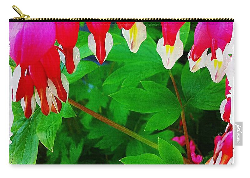 Get Well Soon Hearts Zip Pouch featuring the photograph Get Well Soon Hearts by Barbara A Griffin