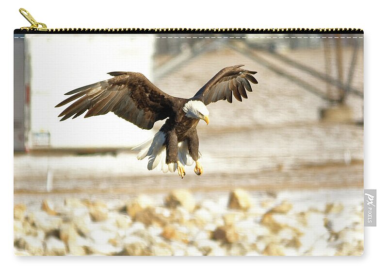 Bald Eagle Zip Pouch featuring the photograph Getting ready by Peter Ponzio