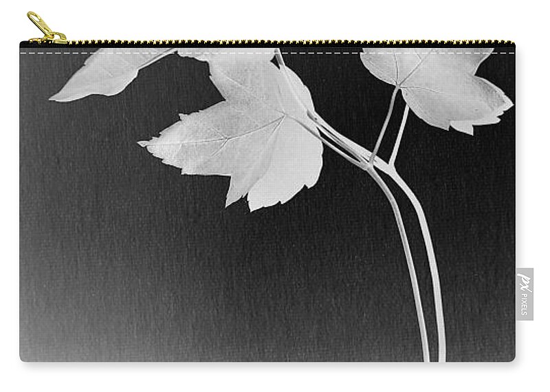Leaves Zip Pouch featuring the photograph Getting To The Root Of The Matter by Rene Crystal