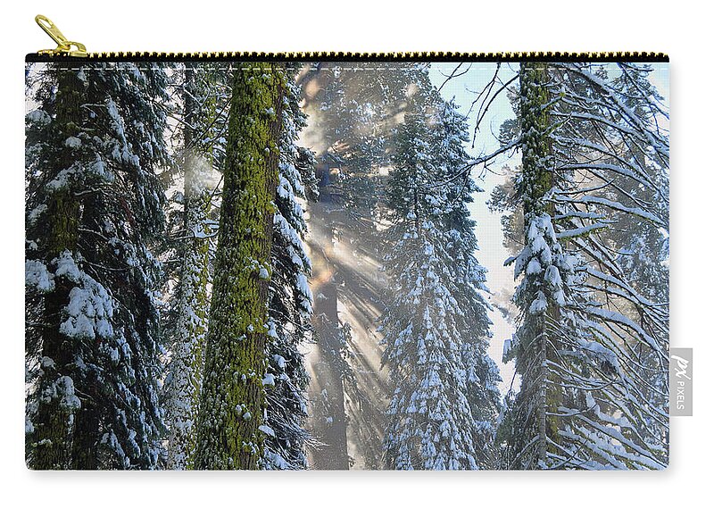 Giant Forest #4, Sequoia National Park, January 2017 Throw Pillow by  Timothy Giller - Pixels
