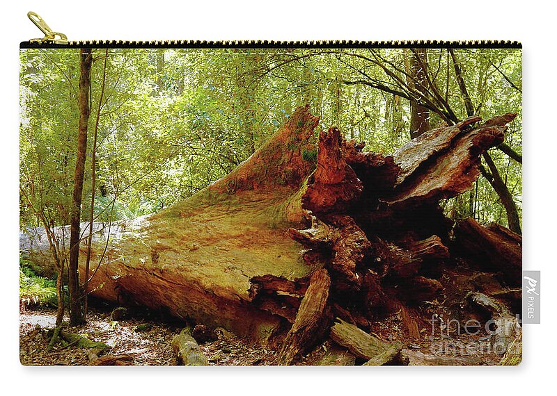 Giant Tree Zip Pouch featuring the photograph Giant has Lived its Life by Lexa Harpell