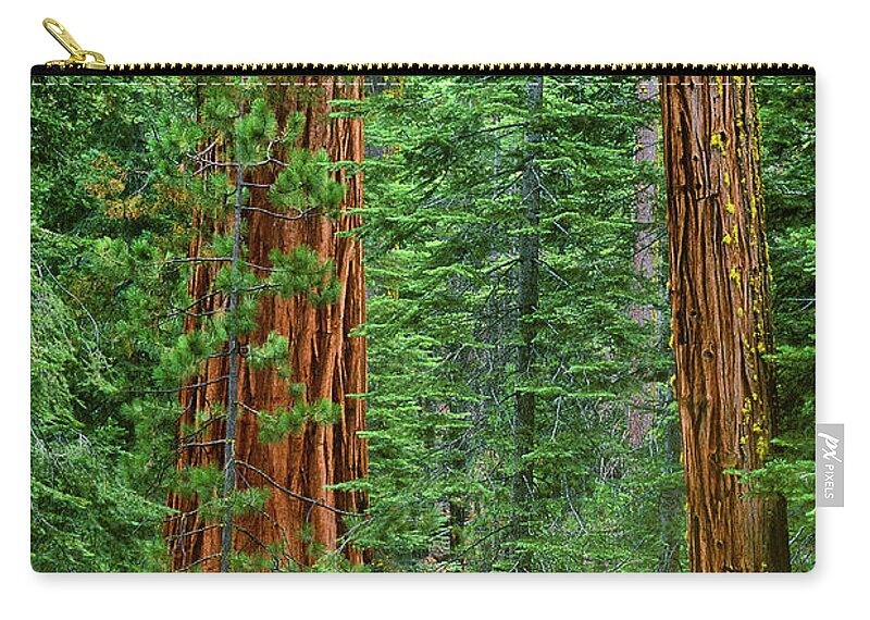 North America Carry-all Pouch featuring the photograph Giant Sequoias Sequoiadendron Gigantium Yosemite NP CA by Dave Welling