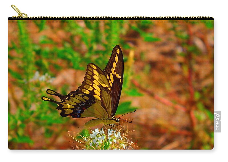 James Smullins Zip Pouch featuring the photograph Giant swallowtail butterfly by James Smullins