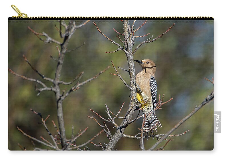 Tucson Zip Pouch featuring the photograph Gila Woodpecker by Dan McManus