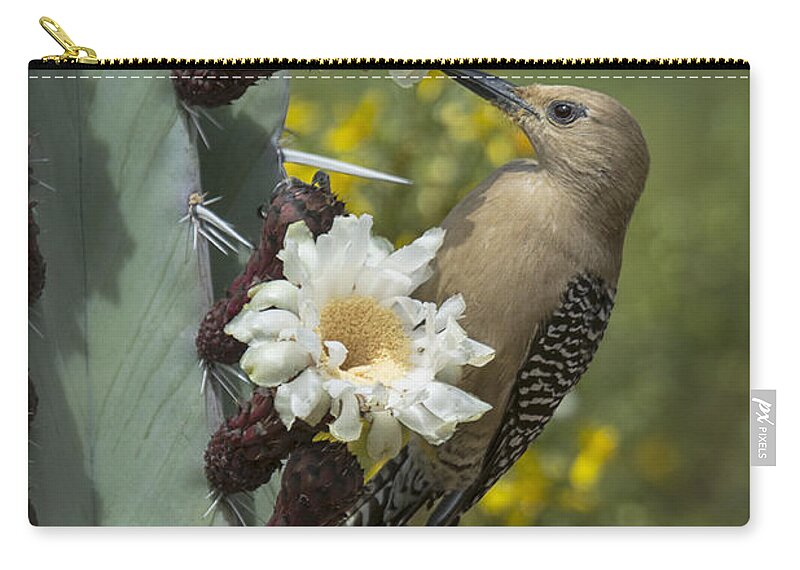 Gila Woodpecker Zip Pouch featuring the photograph Gila Woodpecker on Cactus by Saija Lehtonen