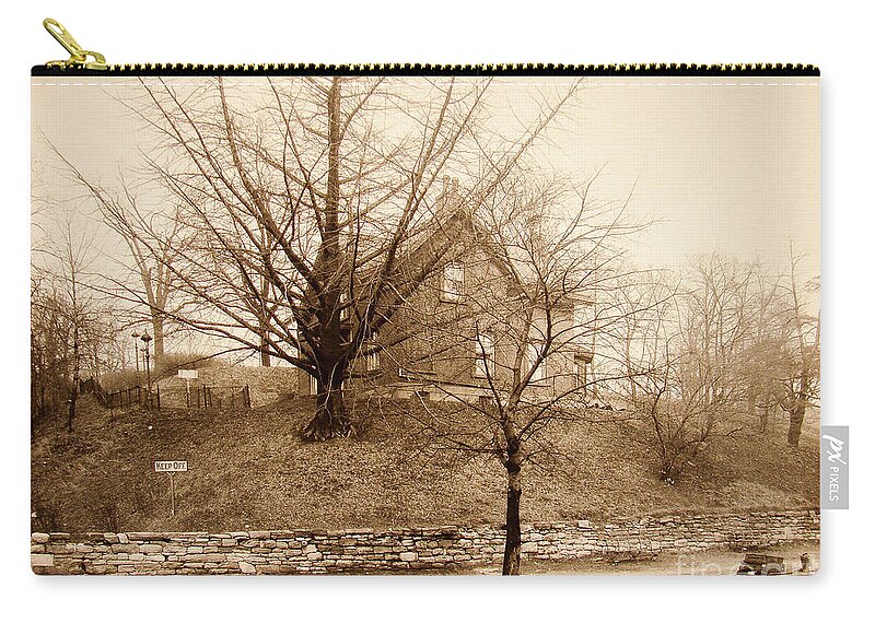 1925 Zip Pouch featuring the photograph Ginkgo Tree, 1925 by Cole Thompson