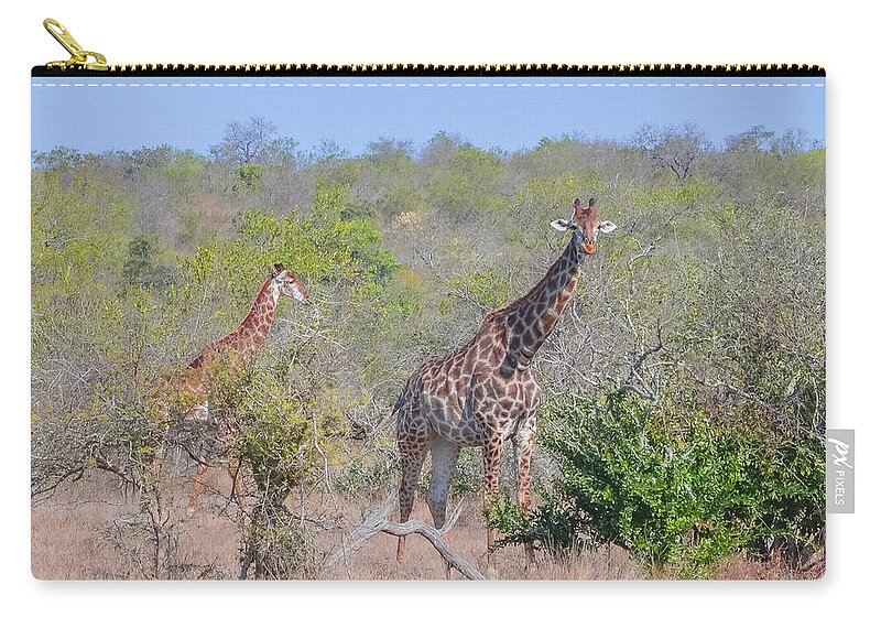 13 Jul 13 Zip Pouch featuring the photograph Giraffe Family on Safari by Jeff at JSJ Photography
