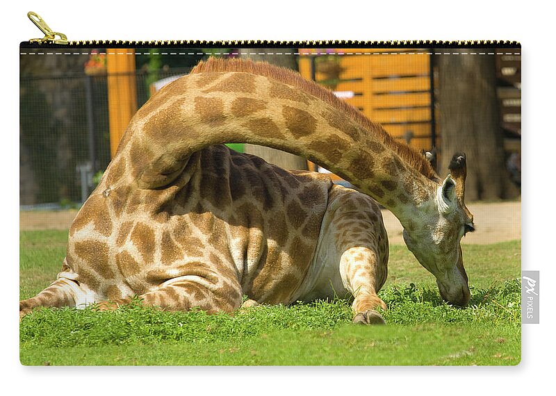 Giraffe Zip Pouch featuring the photograph Giraffe by Irina Afonskaya