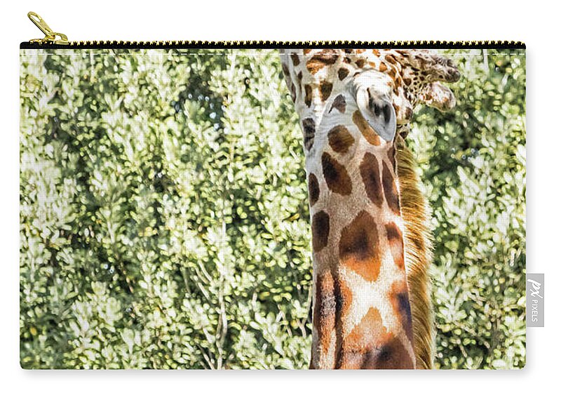 Giraffe Zip Pouch featuring the photograph Giraffe by Kate Brown