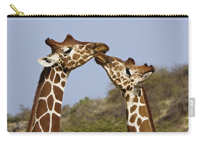 Africa Zip Pouch featuring the photograph Giraffe Kisses by Michele Burgess