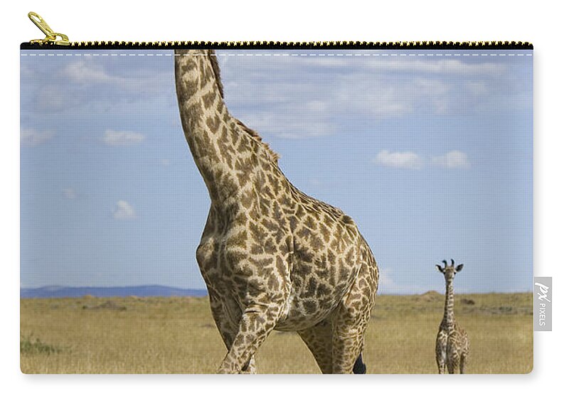 00784053 Zip Pouch featuring the photograph Giraffe Mother And 3 Week Old Calf by Suzi Eszterhas