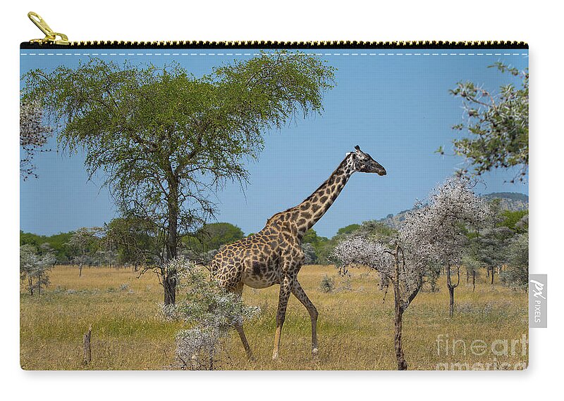Giraffe Zip Pouch featuring the photograph Giraffe on the move by Pravine Chester
