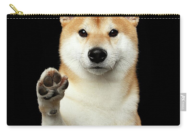 Shiba Zip Pouch featuring the photograph Give me a hand man by Sergey Taran