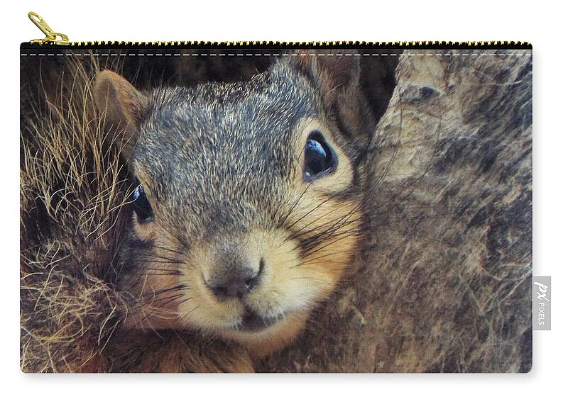 Squirrel Zip Pouch featuring the photograph Give me two minutes by Michael Dillon