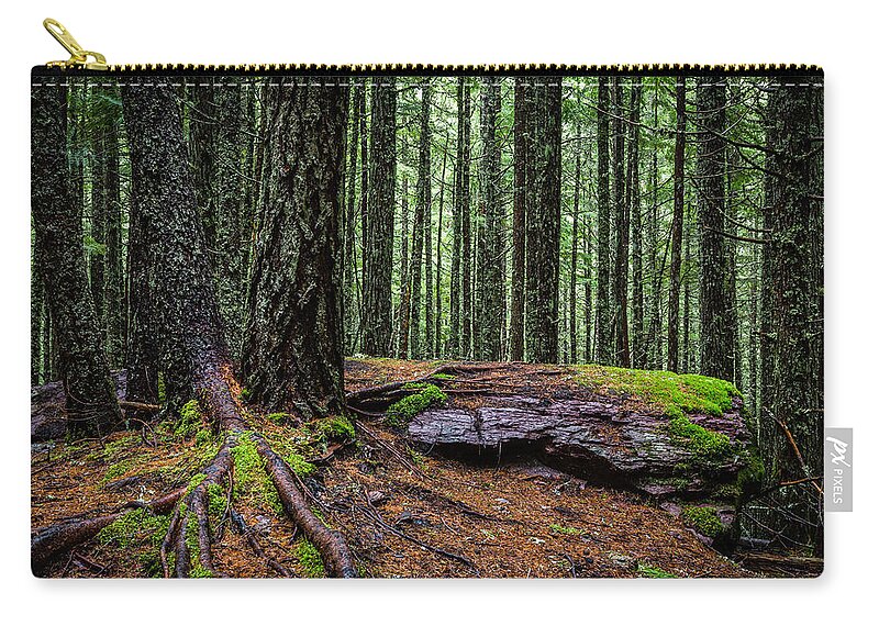 Art Zip Pouch featuring the photograph Glacier Green by Gary Migues
