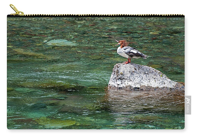Scenic Zip Pouch featuring the photograph Female Common Merganser by Doug Davidson