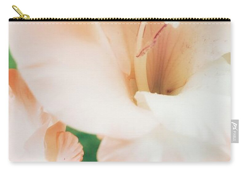 Flower Zip Pouch featuring the photograph Gladiolus Curves by Rachel Hannah