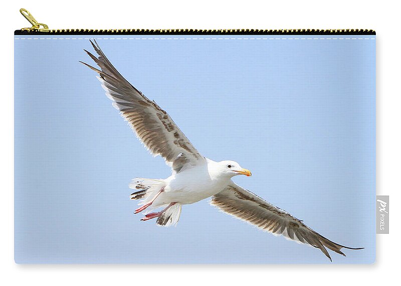 Western Gull Zip Pouch featuring the photograph Gliding Gull by Shoal Hollingsworth