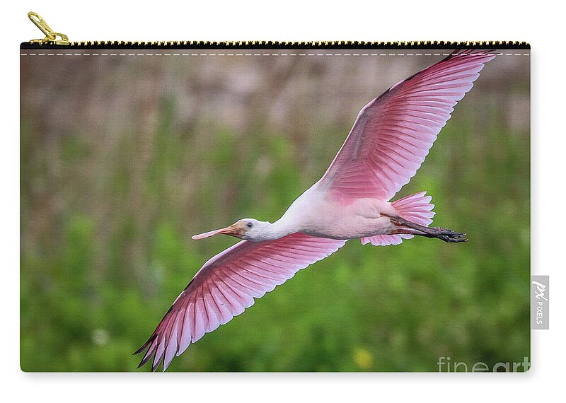 Spoonbill Zip Pouch featuring the photograph Gliding Spoonbill by Tom Claud