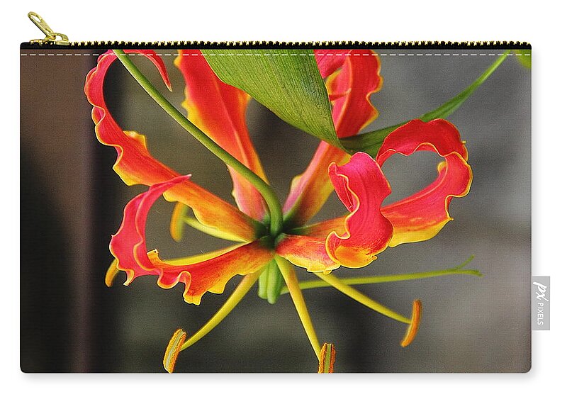 Flower Zip Pouch featuring the photograph Gloriosa Lily by Allen Nice-Webb