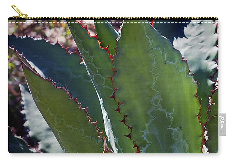 Plant Zip Pouch featuring the photograph Glowing Agave by Phyllis Denton