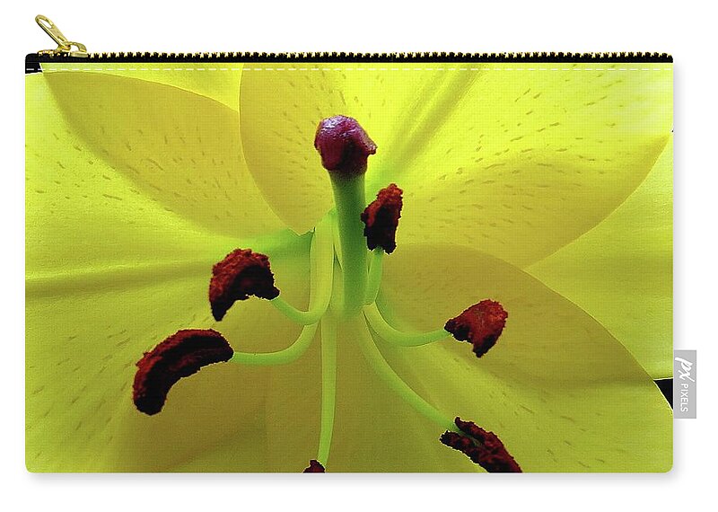 Flower Zip Pouch featuring the photograph Glowing Lily by Linda Stern