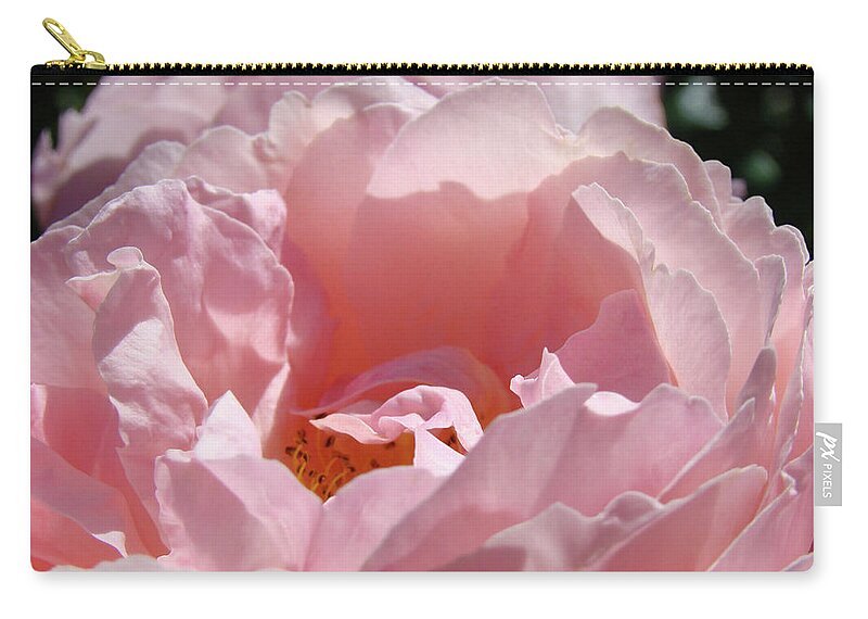 Rose Zip Pouch featuring the photograph Glowing Pink Rose Flower Giclee Prints Baslee Troutman by Patti Baslee