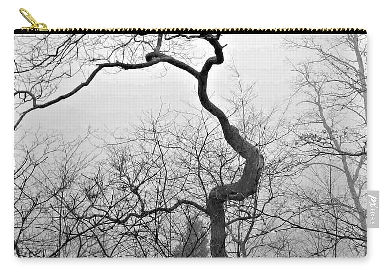 Tree Zip Pouch featuring the photograph Gnarly by Mary Frances